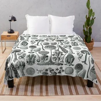 Ernst Haeckel - Mycetozoa Хвърли одеяло декоративи реколта тънки пухкави рошави летни легла одеяла