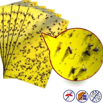 StickyTraps бъгове парникови комари убиец контрол на вредителите за бъгове Zappers лепкава дъска множество летящи насекоми улов контрол